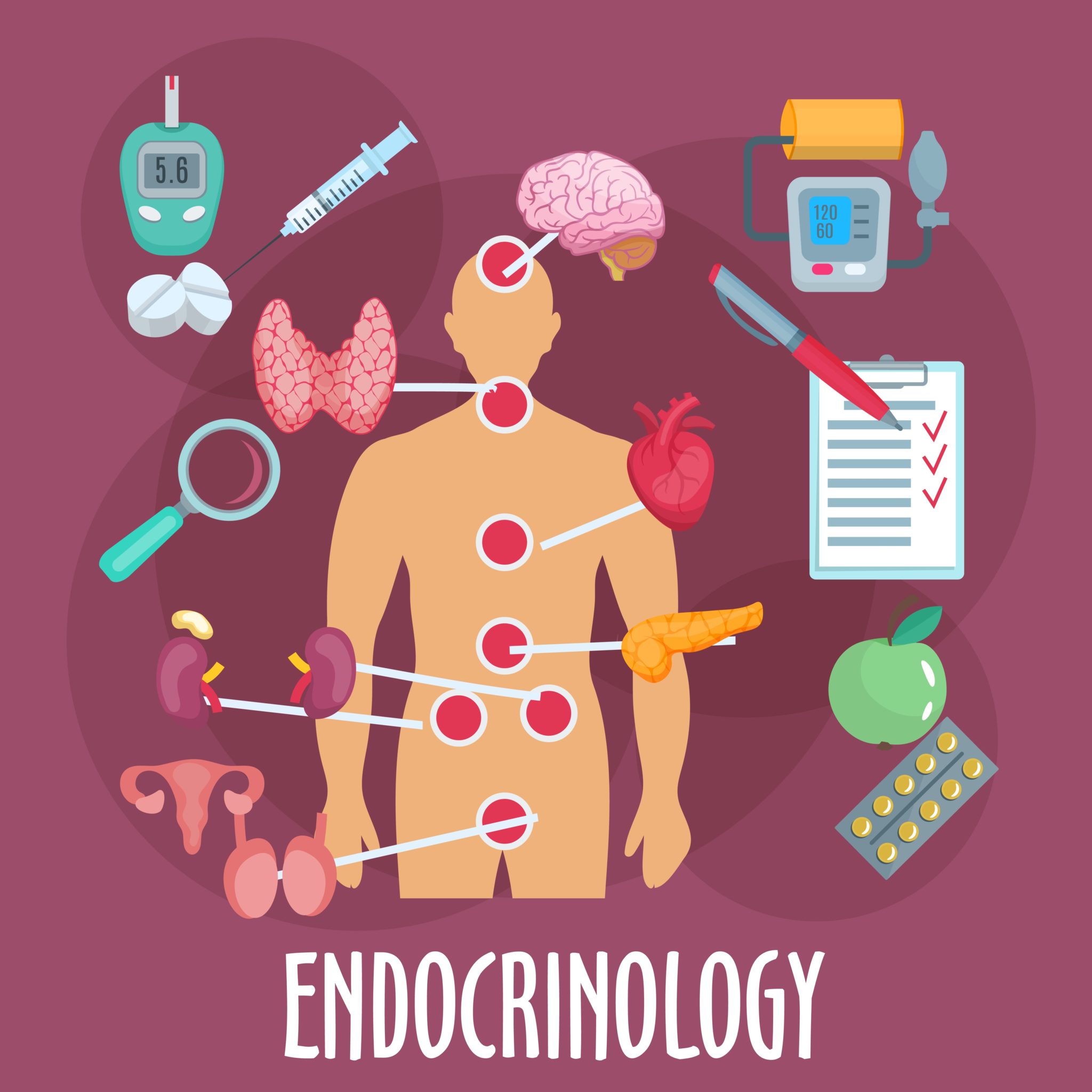 Sistema Endocrino Metabolico Coggle Diagram - Gambaran