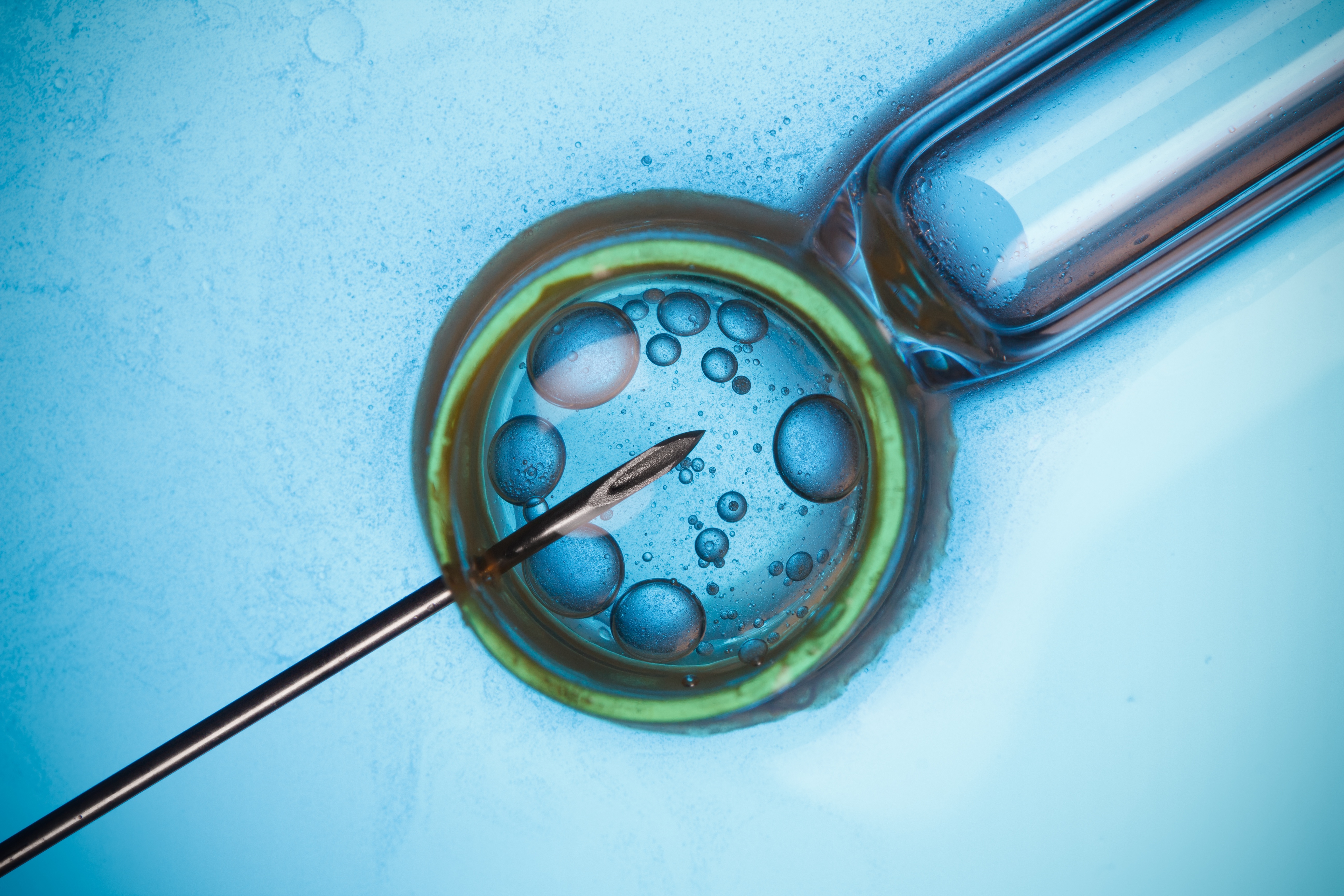 Fertility within Medical Fieldwork