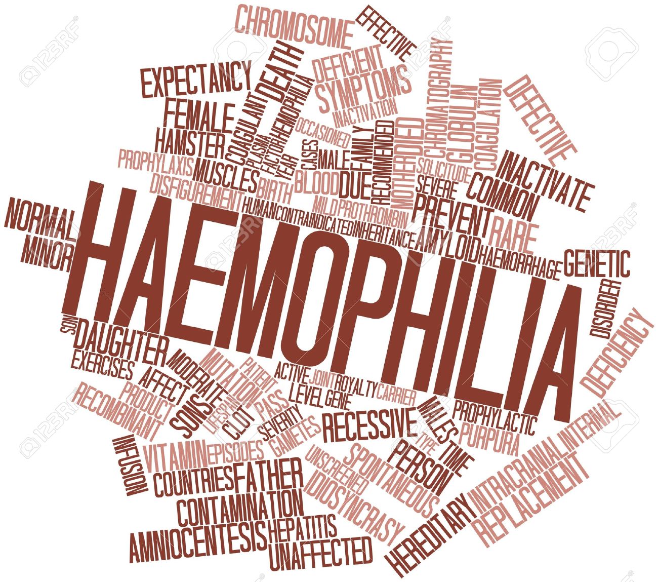 Medical Fieldwork - Haemophilia